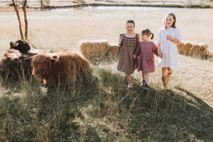 Highland Cows Nicole Butler Photography 11