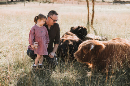 Highland Cows Nicole Butler Photography 7