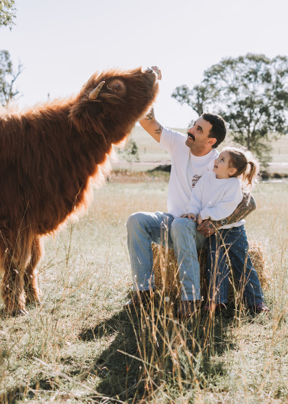 Highland Cows Nicole Butler Photography 5