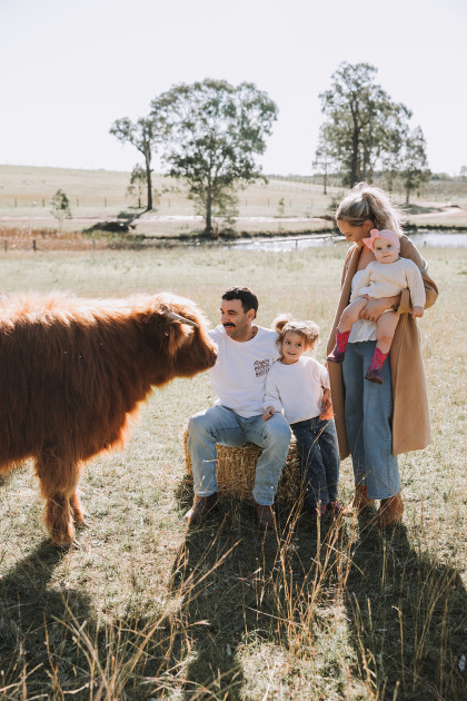Highland Cows Nicole Butler Photography 6