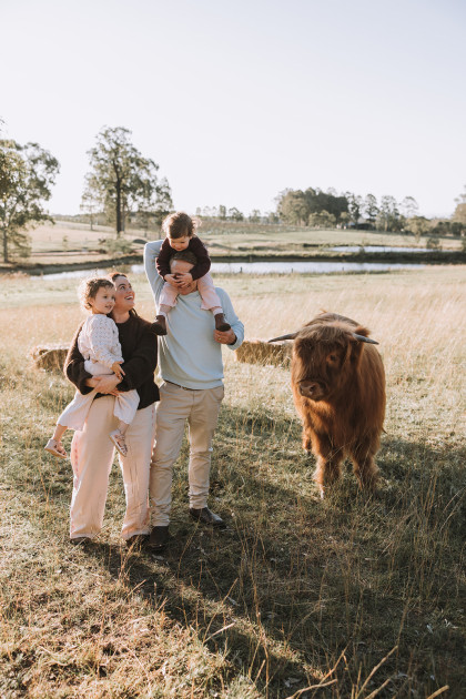 Highland Cows Nicole Butler Photography 9