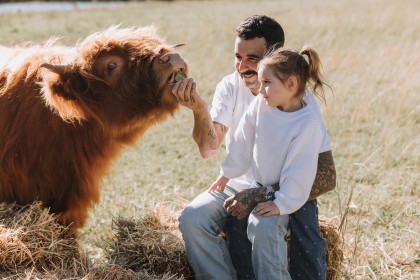 Highland Cows Nicole Butler Photography 16