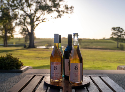 Guided Wine Tasting