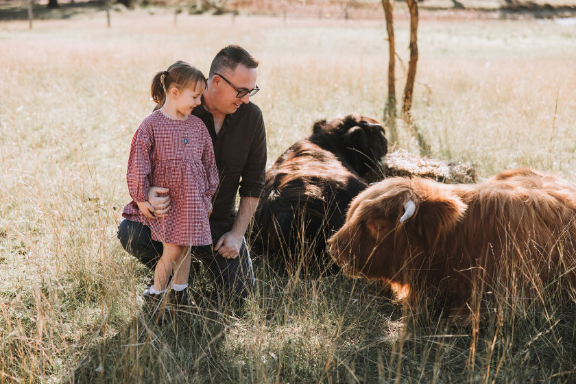 Highland Cows Nicole Butler Photography 8
