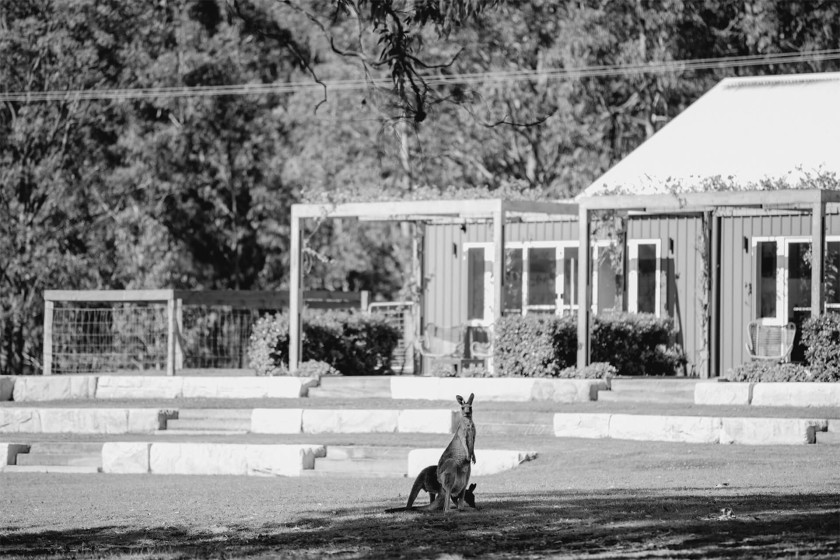 Suites Nicole Butler Photography 29